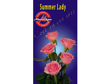 summerlady.jpg