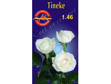 tineke.jpg