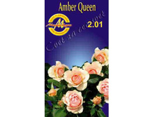 amberqueen.jpg