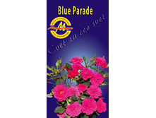 blueparade.jpg