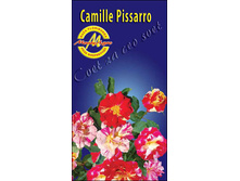 camillepissarro.jpg