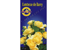 comtessedebarry.jpg