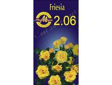 friesia.jpg