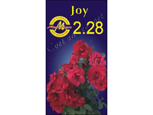 joy.jpg
