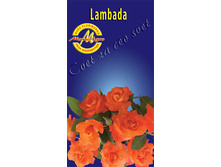 lambada.jpg
