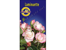 laminuette.jpg