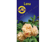 lana.jpg