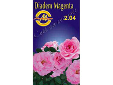 magenta.jpg
