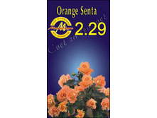 orangesenta.jpg