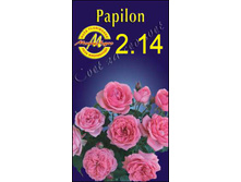 papilon.jpg