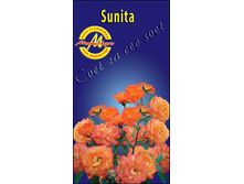 sunita.jpg