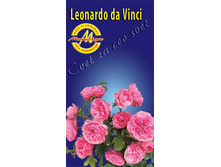 vinci.jpg