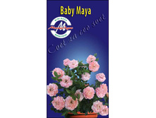 babymaya.jpg