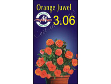 orangeyu.jpg
