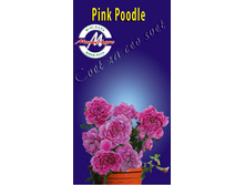 pinkpoodle.jpg