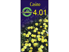 casino.jpg
