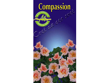 compassion.jpg