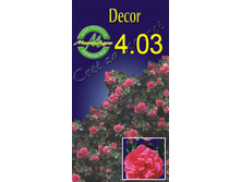 decor.jpg