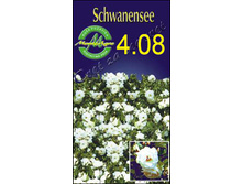 schwanensee.jpg