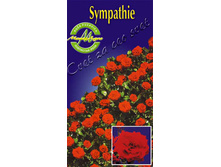 simpathie.jpg