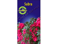 subra.jpg