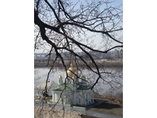 SANY0198.jpg