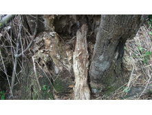 DSCF0976.JPG