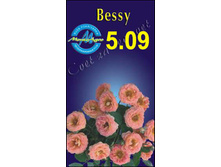 bessy.jpg