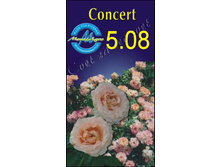 concert.jpg