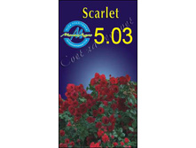 scarlet.jpg