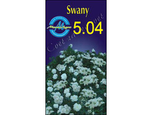 swany.jpg