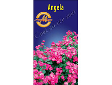 angela.jpg