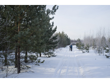 DSCF7614.jpg