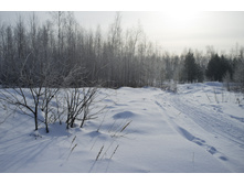 DSCF7617.jpg