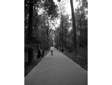 14.05.2009 11:44:23