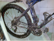 04.10.2010 10:46:39
