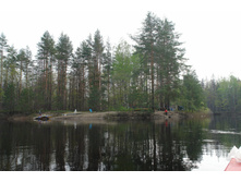 DSC02007.jpg