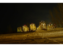 P1000403_.JPG