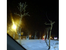 P1000415_.JPG