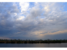 P1000441_.JPG