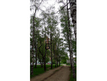 P1000487_.JPG