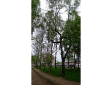 P1000489_.JPG