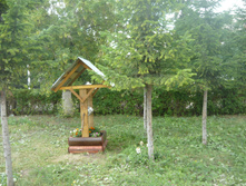 P1230885.JPG