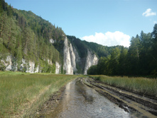 P1240003.JPG