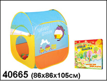 40665 �������  ��������� ����� -884,24.jpg