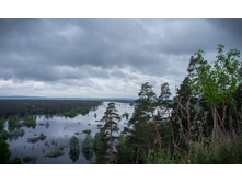 20120513-DSC04037.jpg