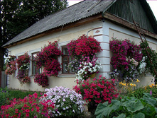 6cf00b158d2c4cf878.jpg