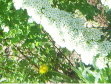 SSL12856.JPG