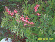 SSL14965.JPG