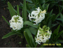 SSL14969.JPG